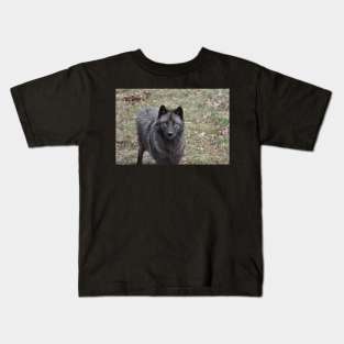 Black Wolf Kids T-Shirt